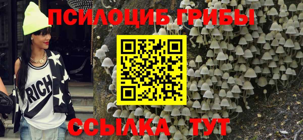 Галлюциногенные грибы Psilocybine cubensis  Вход с VPN  Черкесск 