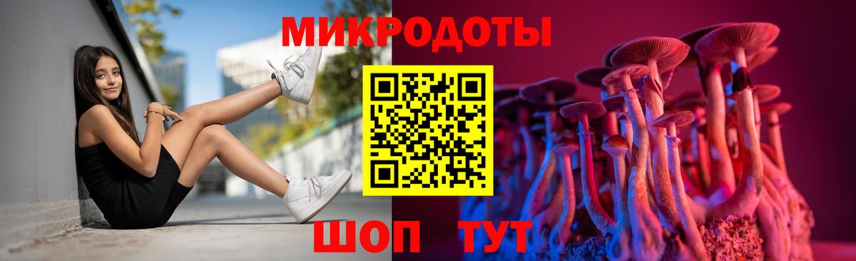 Галлюциногенные грибы Cubensis Черкесск